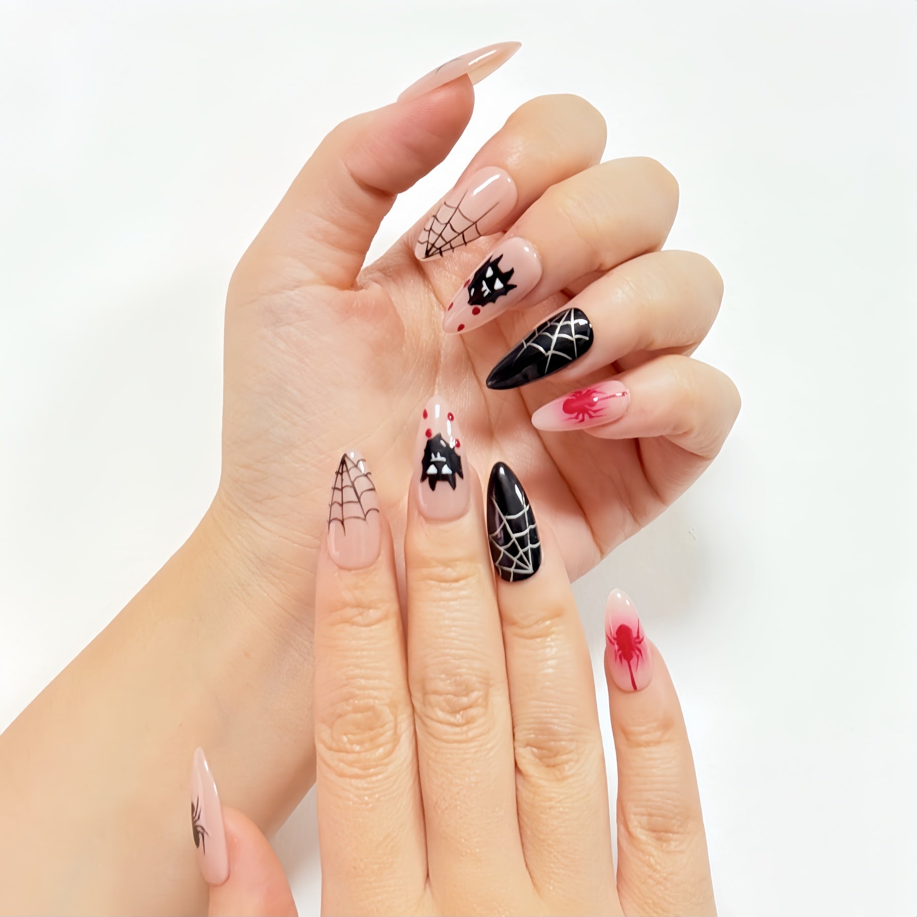 Spider Web058